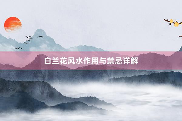 白兰花风水作用与禁忌详解