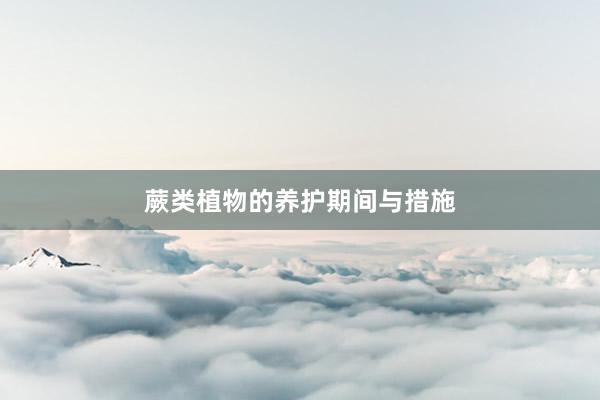 蕨类植物的养护期间与措施