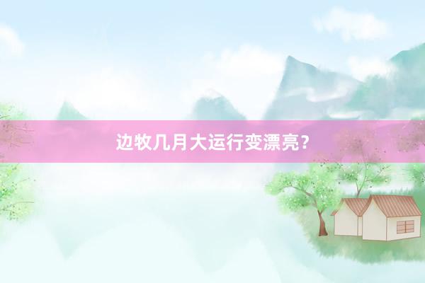 边牧几月大运行变漂亮？