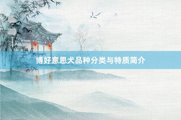 博好意思犬品种分类与特质简介