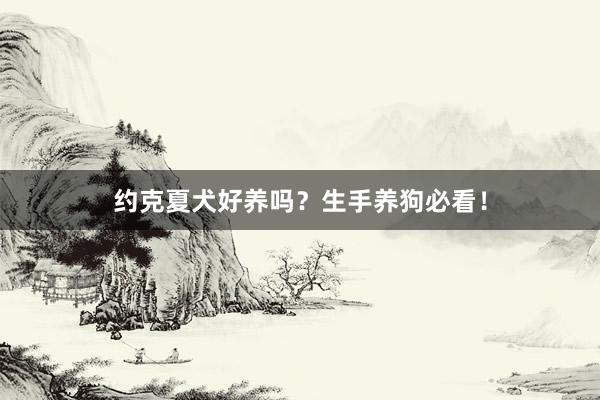 约克夏犬好养吗？生手养狗必看！