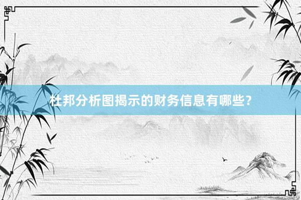 杜邦分析图揭示的财务信息有哪些？